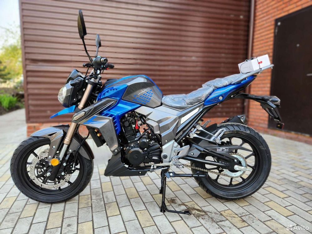 Regulmoto T-Leopard 300
