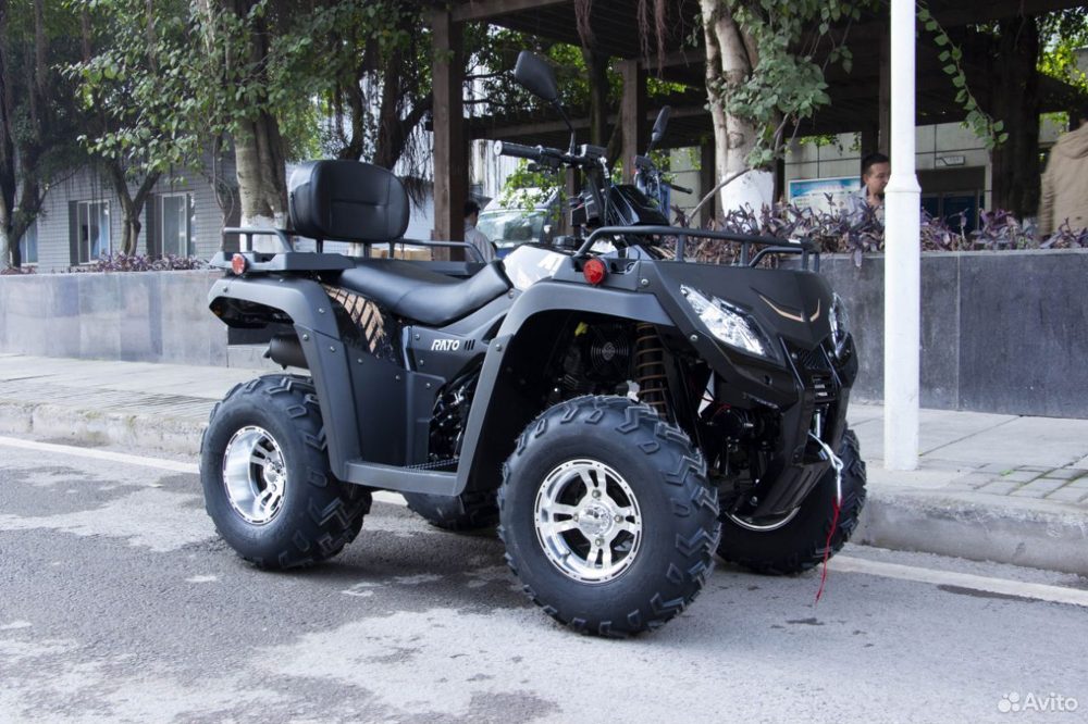 Rato 250 LD