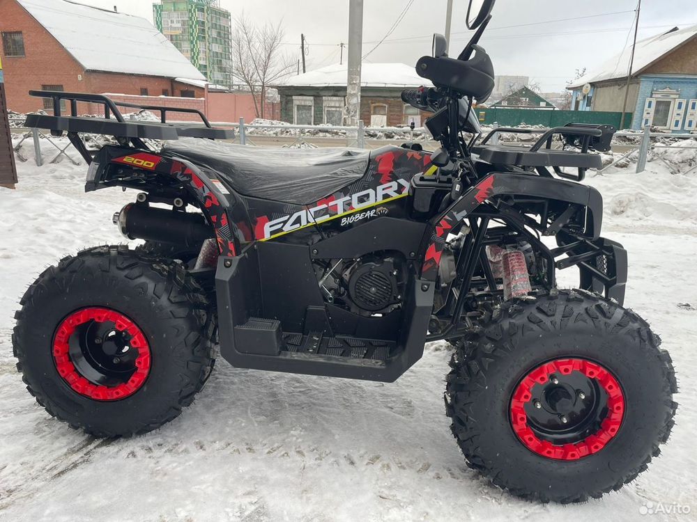 TaoTao Warrior 200 LUX